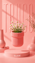 Truco Pot