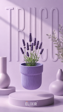 Truco Pot