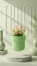 Truco Pot