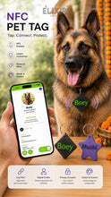 Pet Tag