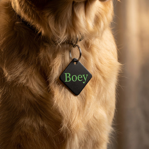 Pet Tag